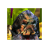 icon Predator 1.0