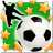 icon NSS 4.28