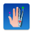 icon e-Anatomy 5.2.4