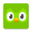 icon com.duolingo 4.37.1