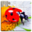 icon Insect Puzzles 12.0