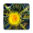 icon Lost Lands 6 2.0.1.976.106