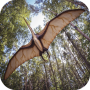 icon com.aio.pterosaur