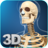 icon My Skeleton Anatomy 4.4