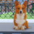icon Animal Shelter: Pet Rescue Sim 1.9