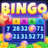 icon Bingo Night 1.0.1