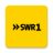 icon SWR1 6.0.1.1218