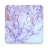 icon Urinemicroscopy 2.0.0