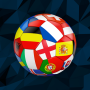 icon International Football Simulator