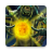icon Lost Lands 6 2.2.1.1597.173