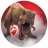 icon JW Alive 3.15.45