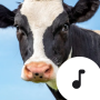 icon Cow Sounds
