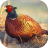 icon Pheasant Sounds 1.2