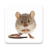 icon Mouse and Rat Sounds 3.7.0