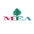icon MEA 7.0.0
