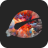 icon WoodenFishKnocker 1.4.17