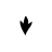 icon Nomady.camp 2.0.10211