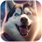 icon Husky Simulator 1.1.1