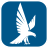 icon Falcon 6.0.0