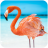 icon The Flamingo 1.0.1