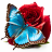 icon Good Morning 4.0.4
