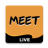 icon meet fun 1.3.80