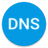 icon DNS Changer 1106r