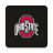 icon Ohio State Buckeyes App 173.0.6