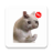 icon com.proWAStickerApps.catsmemes.memesdegatos 1.6.0