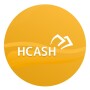 icon H-Cash Customer