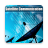 icon Satellite Communication 13.0