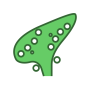icon Ocarina Tabs