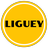 icon Liguey 2.9.5