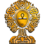 icon Habeshacoin